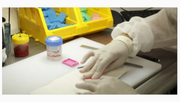 Dermatopathology